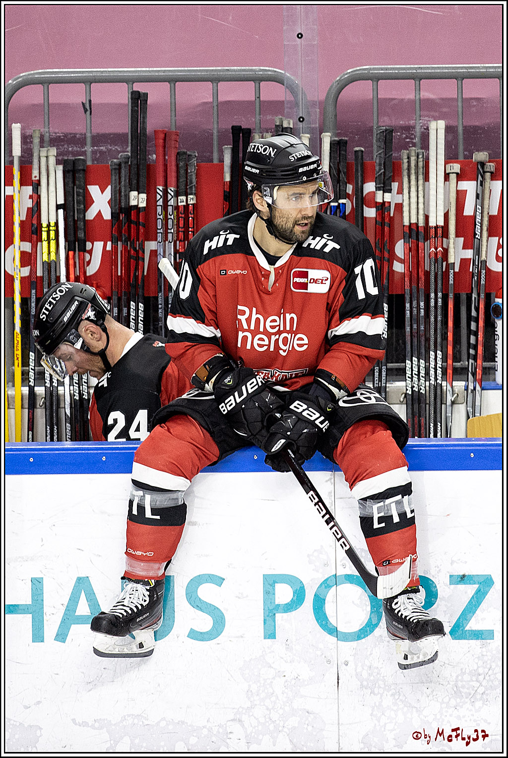 PENNY DEL;  Koelner Haie - Eisbaeren Berlin; Koeln, 28.12.2021